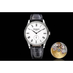 PPF/파텍필립 칼라트라바 3919