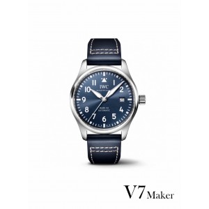 V7/아이더블유씨 IWC 파일럿 MARK XX IW328203 / SW300