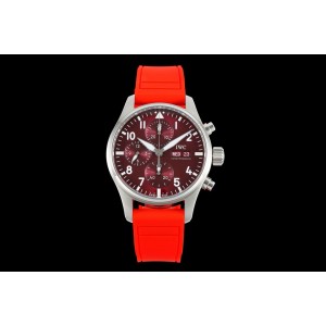 BLS/IWC 파일럿 41MM